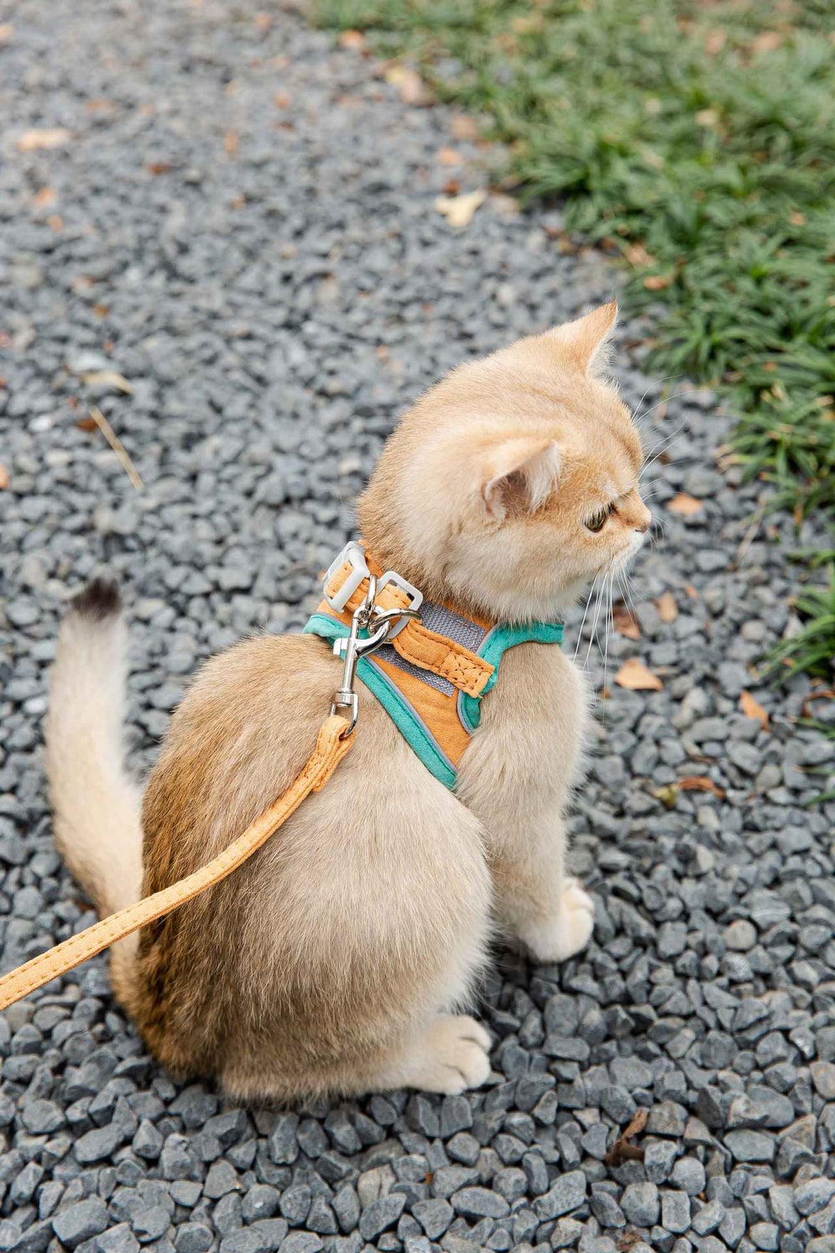 Reflective Vest-Style Pet Harness