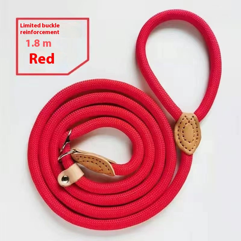 Nylon Dog Walking Leash