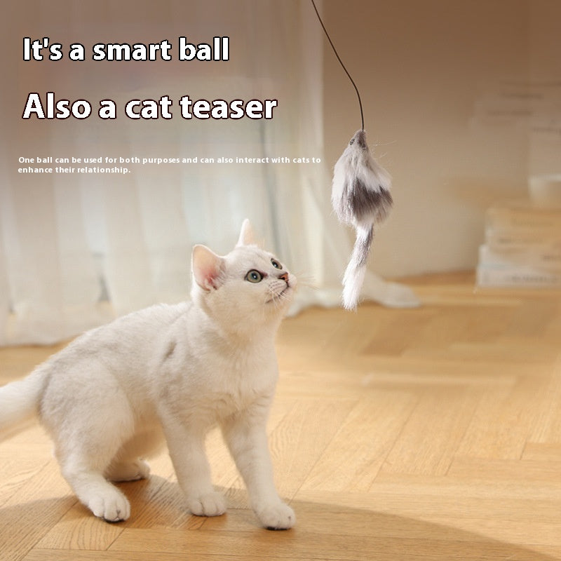 Automatic Rolling Pet Toy Ball