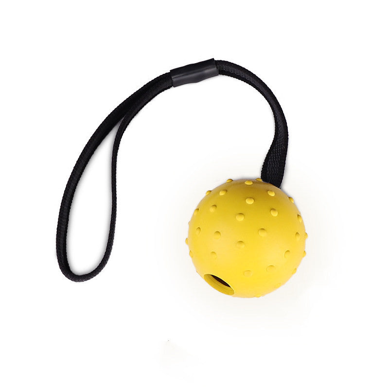 Rubber Ball Dog Toy with Rope