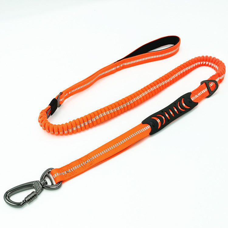 Dog Walking Leash