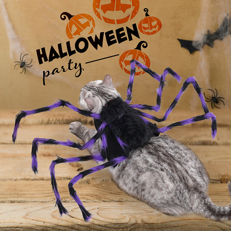 Spider Pet Costume