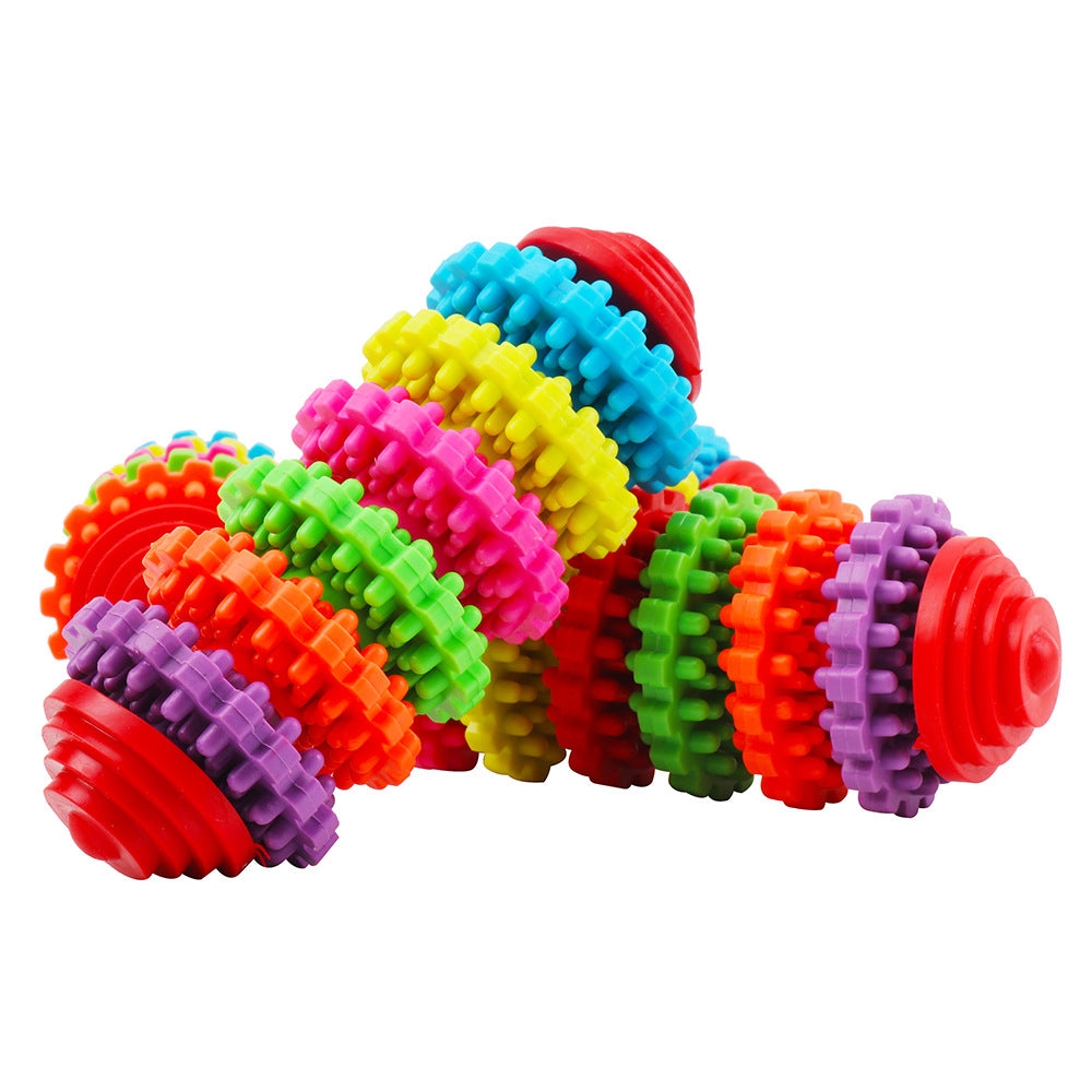 Textured TPR Dog Toy