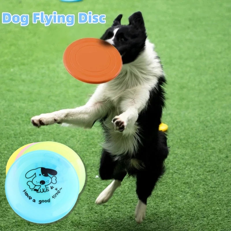 Flying Disc Pet Toy