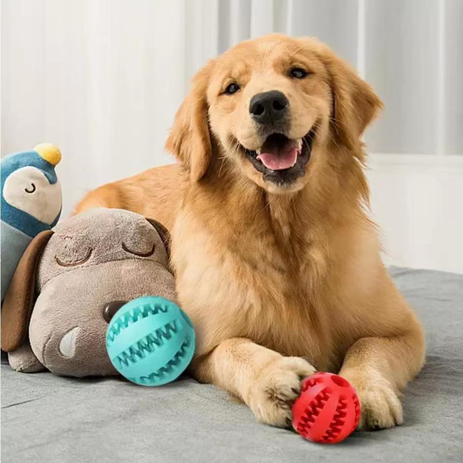 TPR Treat Ball with Cotton Rope