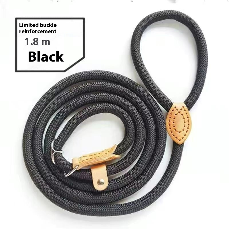 Nylon Dog Walking Leash