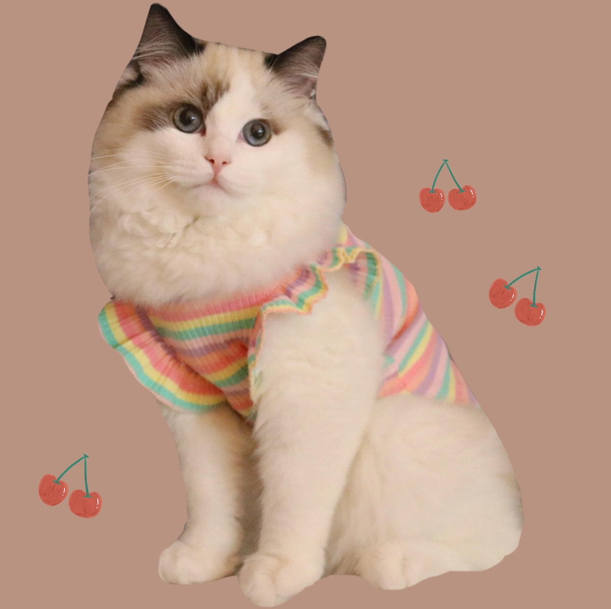 Cotton Pet T-Shirt