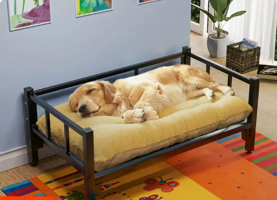 Pet Bed with Removable Sleeping Pad