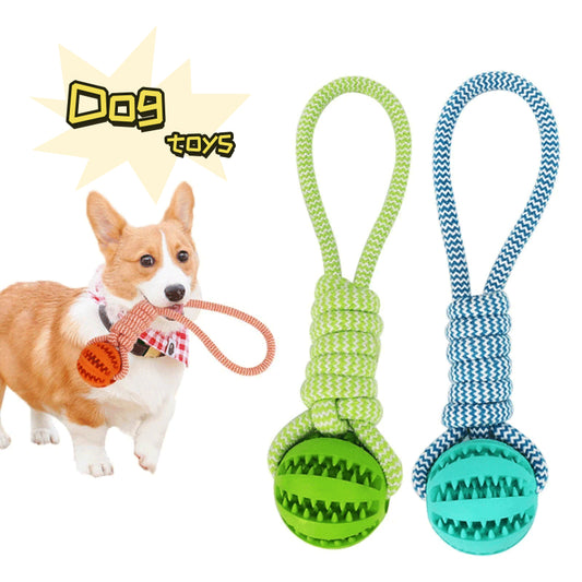 Rope and Treat Ball Dog Toy