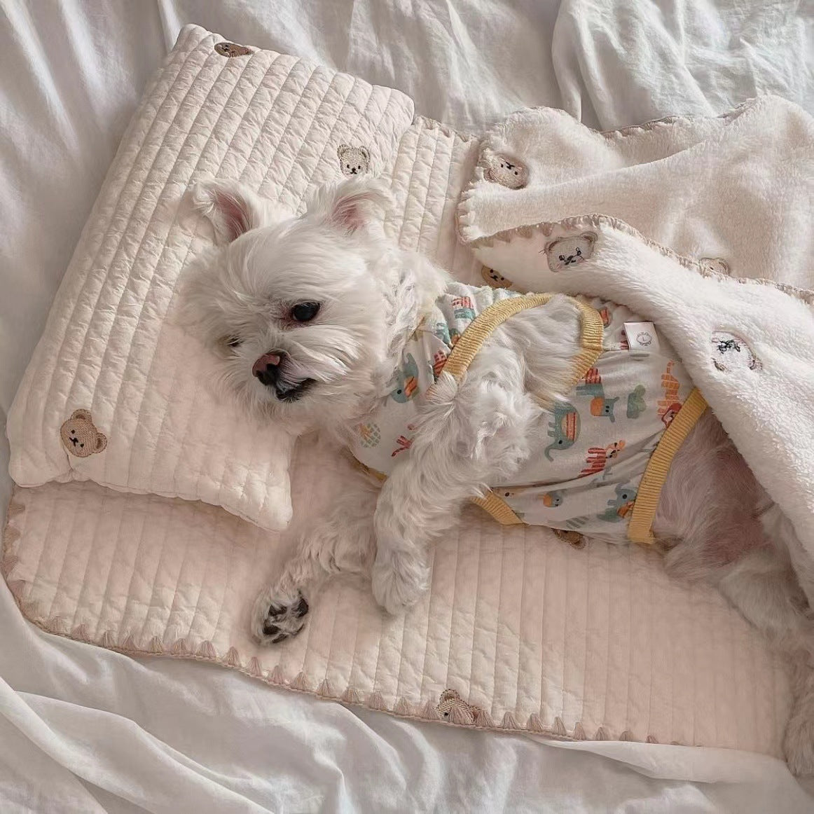 Pet Bed with Removable Square Cushion