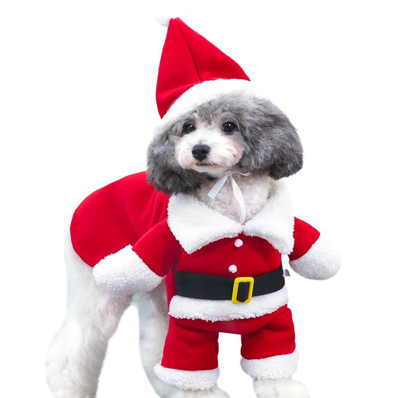 Standing-Style Christmas Pet Costume