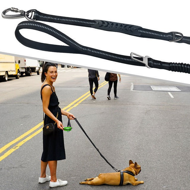 Dog Walking Leash