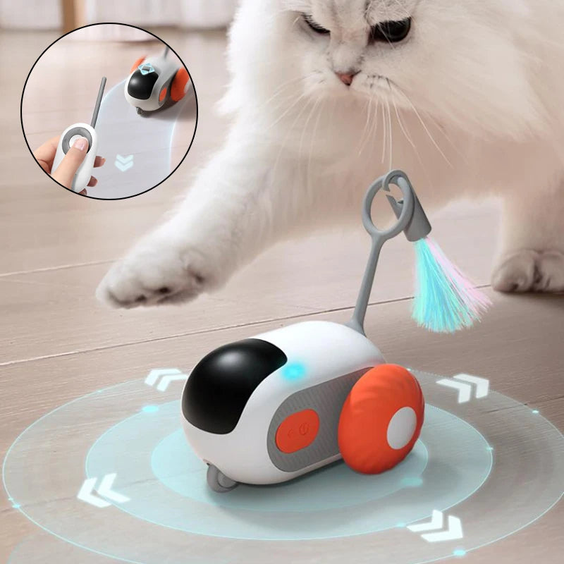 Remote-Control Cat Chase Car