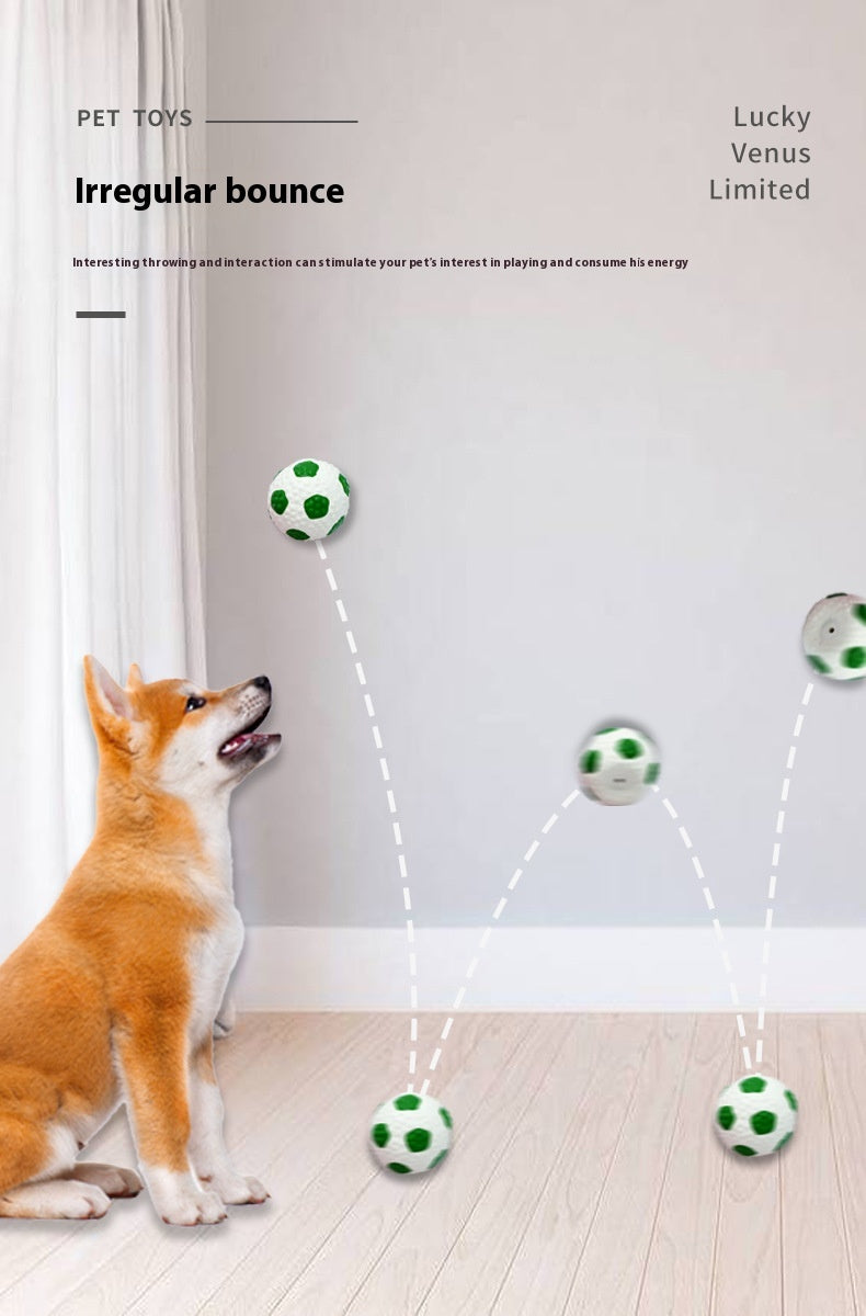 Latex Pet Play Ball