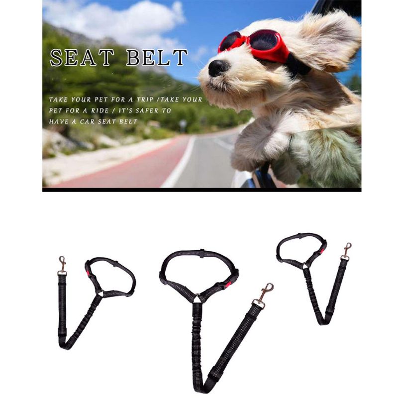 Elastic Pet Leash