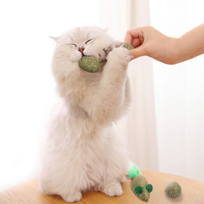 Catnip and Silvervine Cat Toy