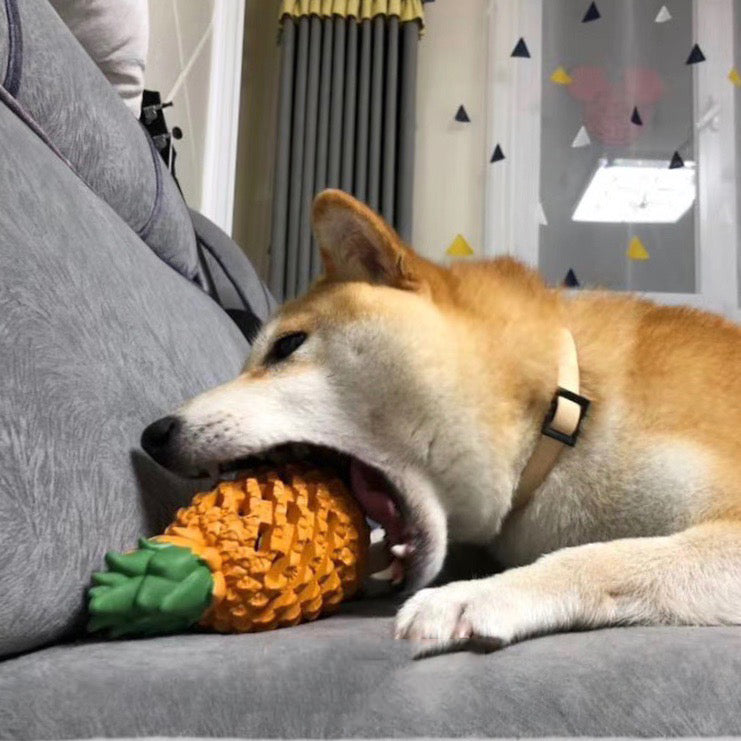 Fruit-Shaped Rubber Dog Toy