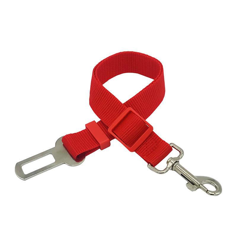 Retractable Pet Leash
