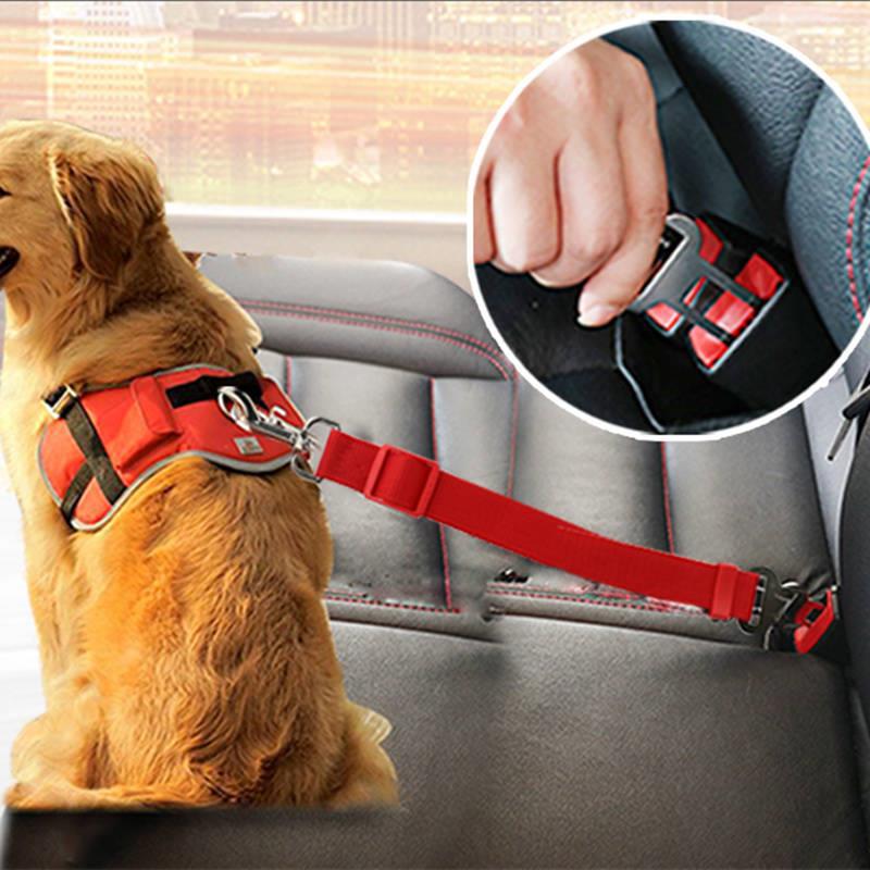 Retractable Pet Leash