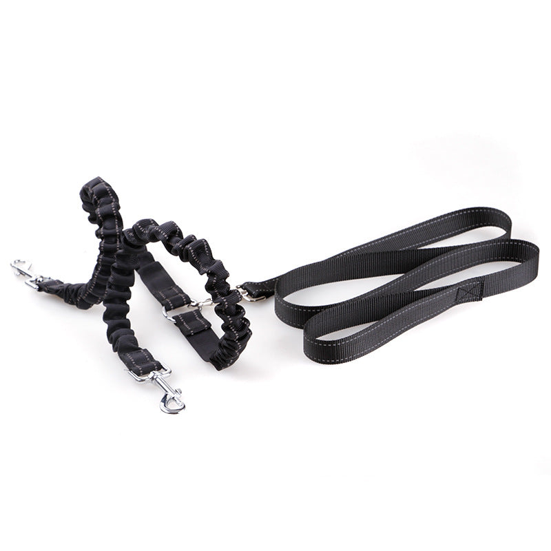 Double-Ended Retractable Dog Leash