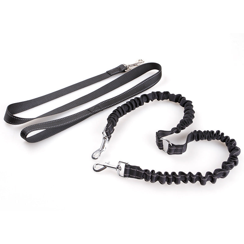 Double-Ended Retractable Dog Leash