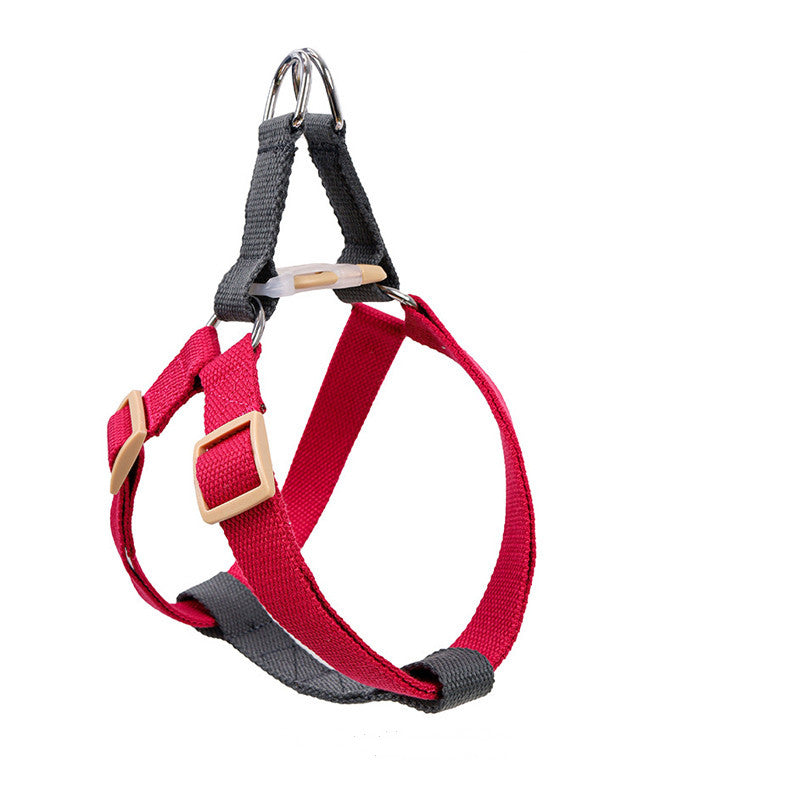 Webbing Leash for Medium and Large Dogs