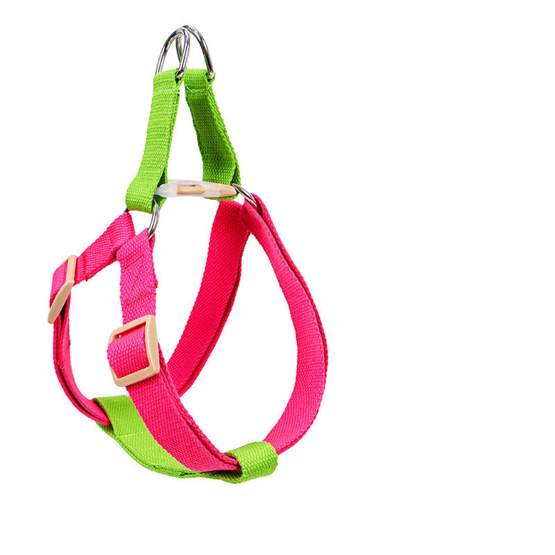 Webbing Leash for Medium and Large Dogs