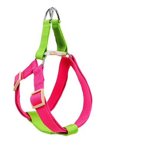 Webbing Leash for Medium and Large Dogs