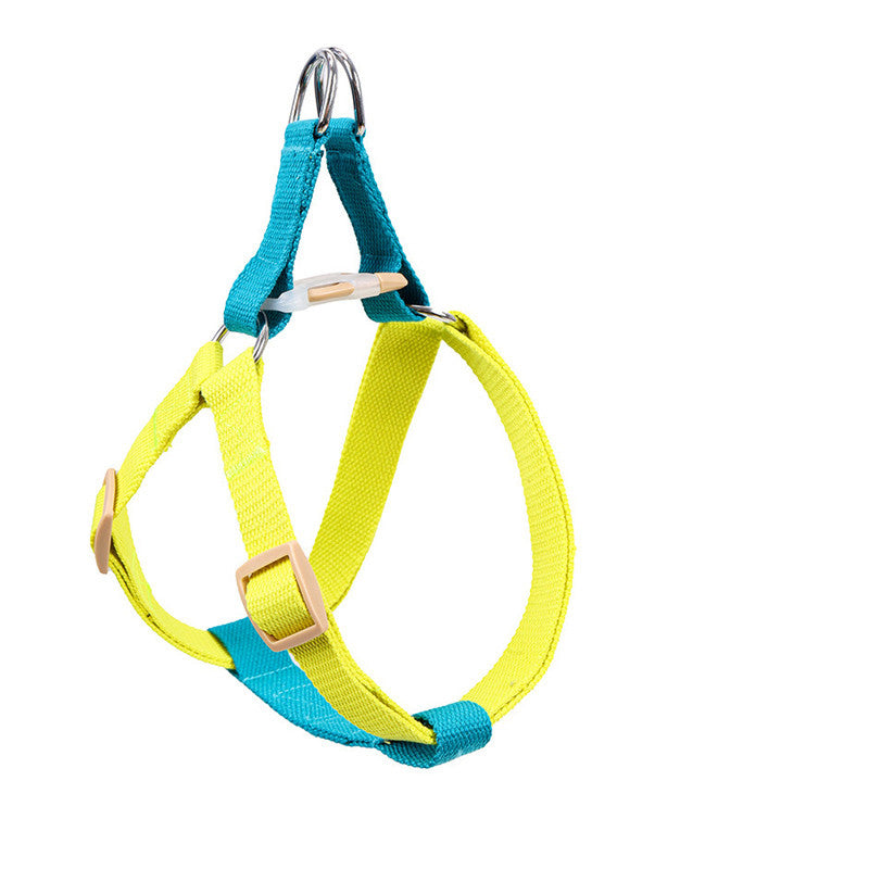 Webbing Leash for Medium and Large Dogs