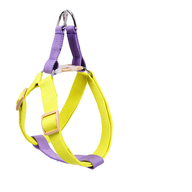 Webbing Leash for Medium and Large Dogs