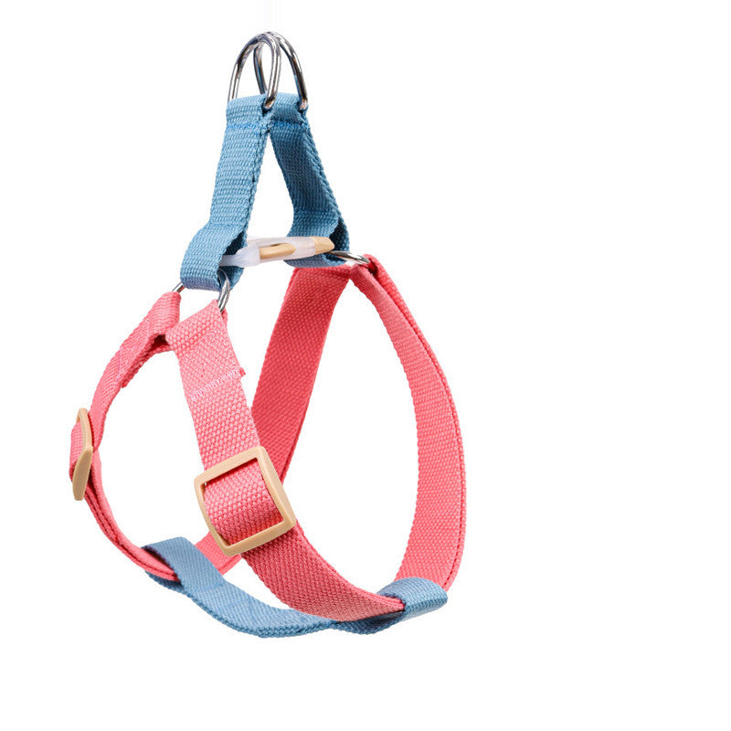 Webbing Leash for Medium and Large Dogs