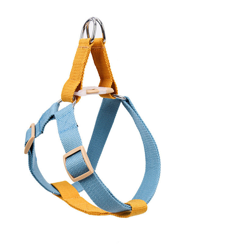 Webbing Leash for Medium and Large Dogs