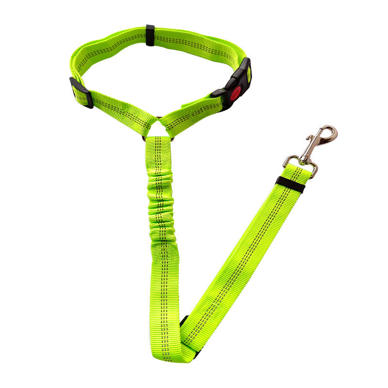Elastic Pet Leash