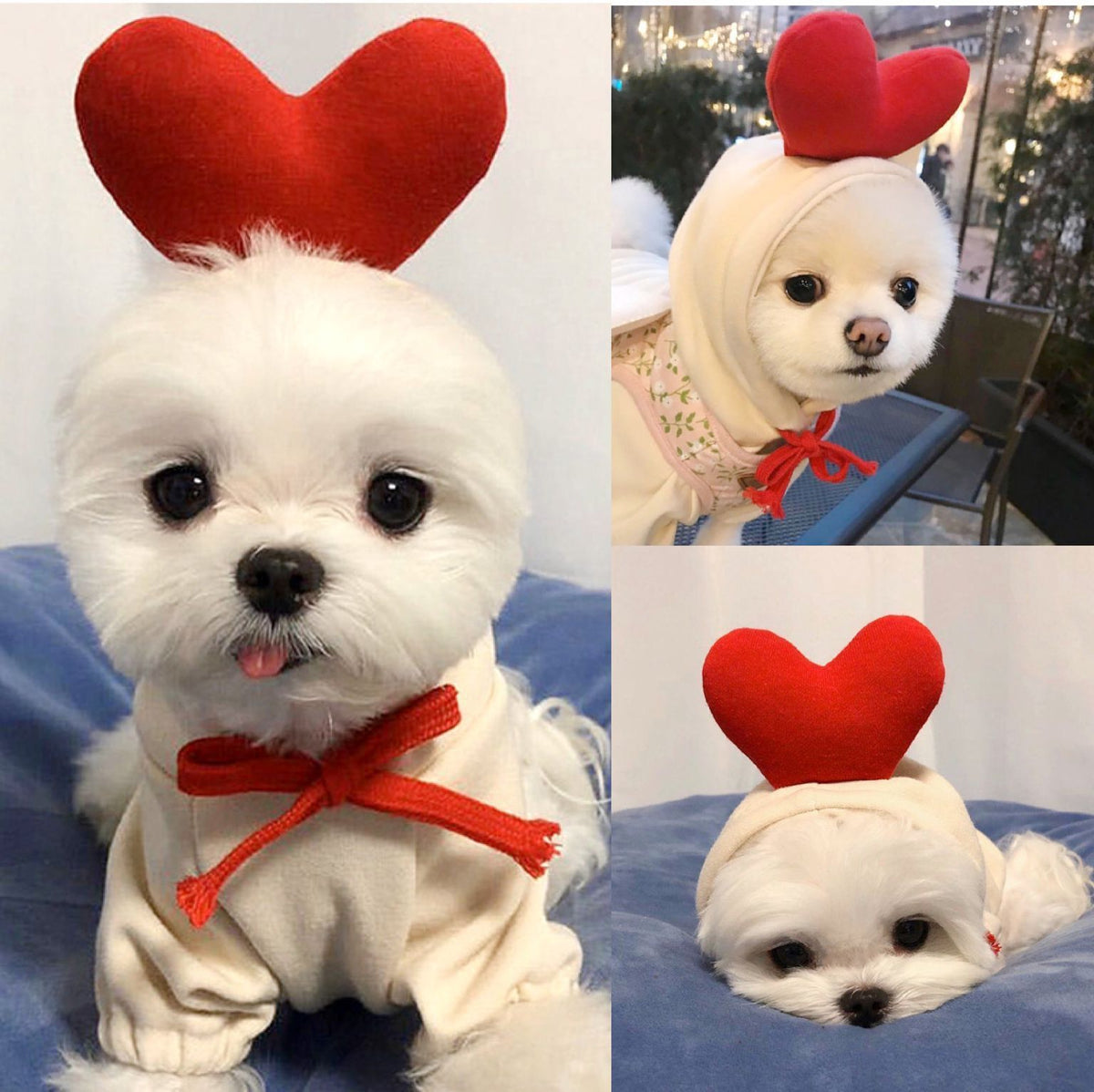 Fruit-Style Fleece Pet Hoodie