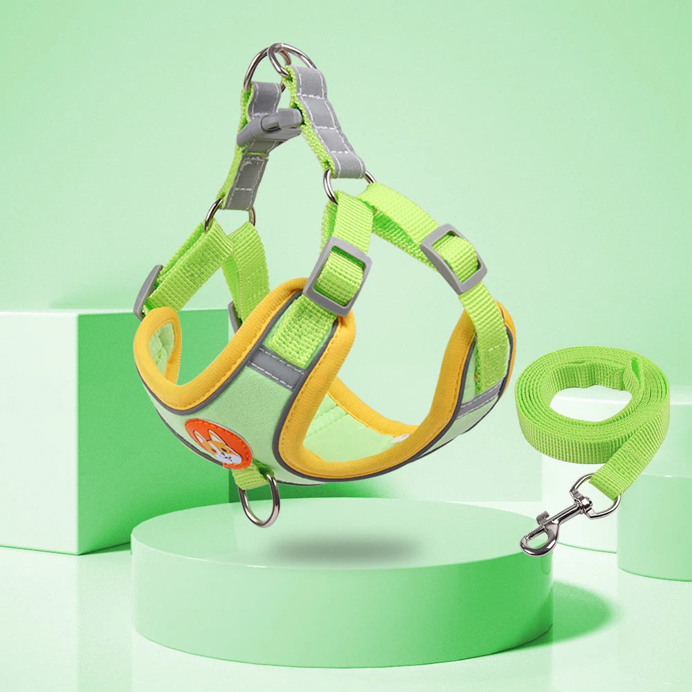 Adjustable Pet Harness and Leash Set