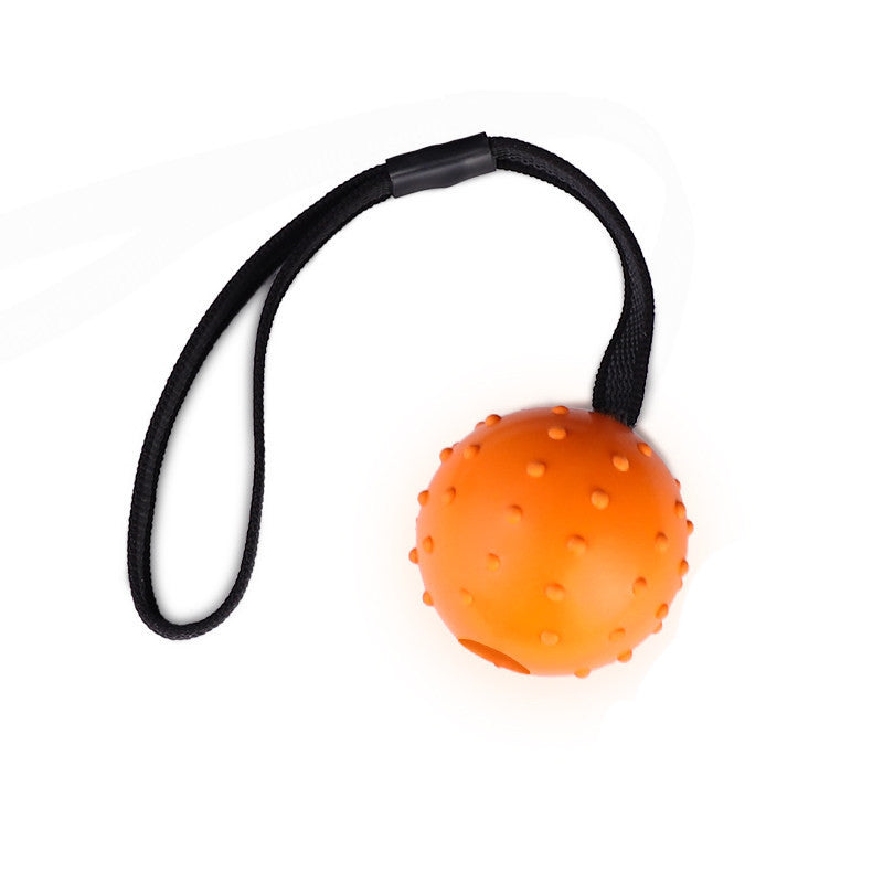 Rubber Ball Dog Toy with Rope