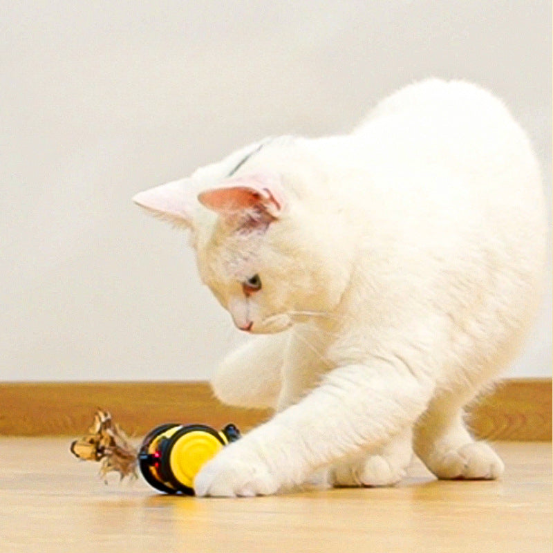 Electric Cat Chase Toy with Feather