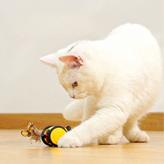 Electric Cat Chase Toy with Feather