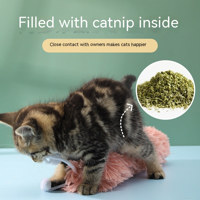 Crinkle Caterpillar Cat Toy