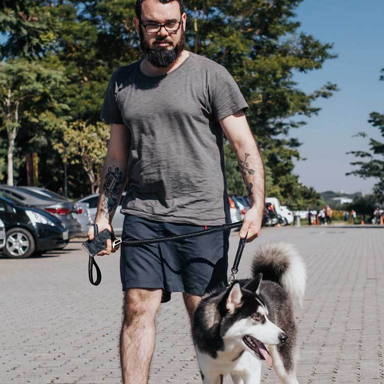 Dog Walking Leash