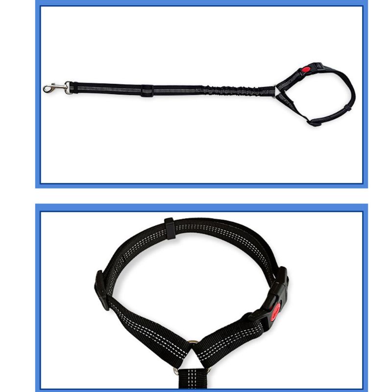 Elastic Pet Leash