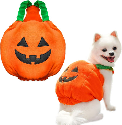Plush Pumpkin Pet Costume
