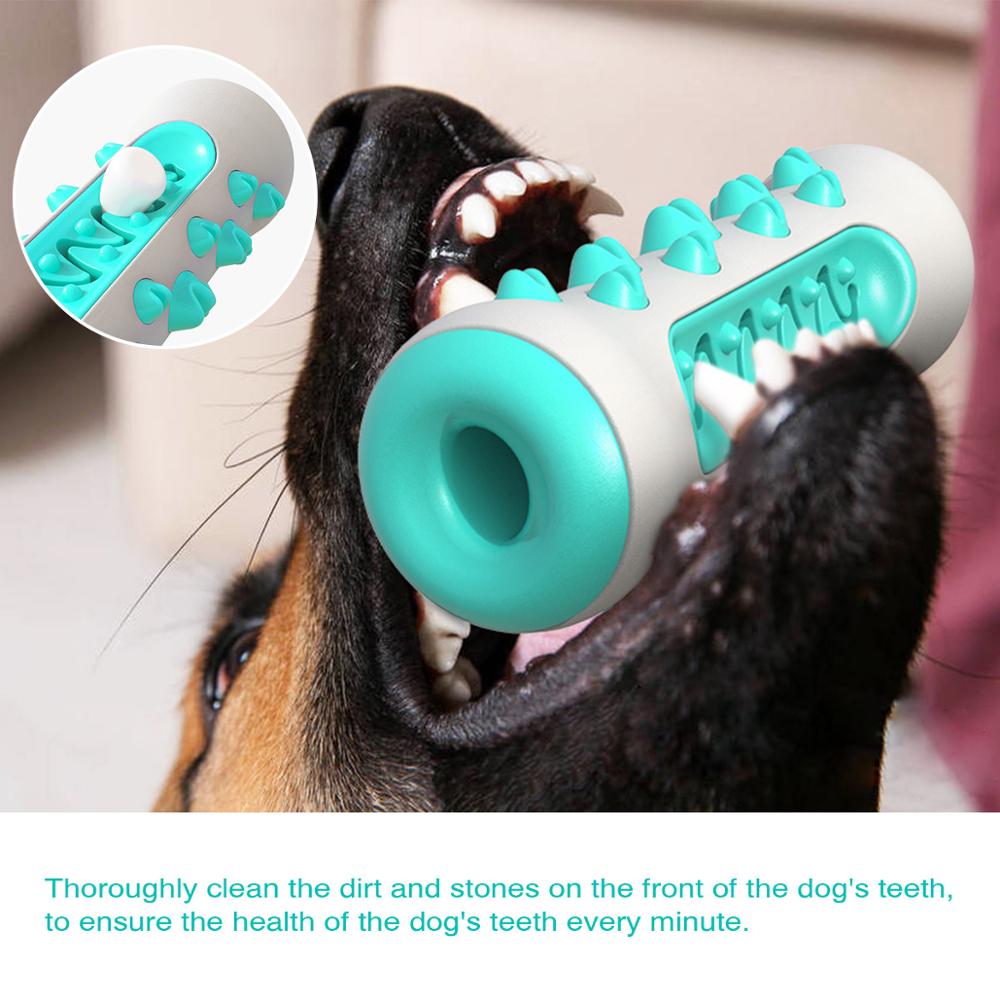 Textured TPR and Nylon Dog Chew Toy