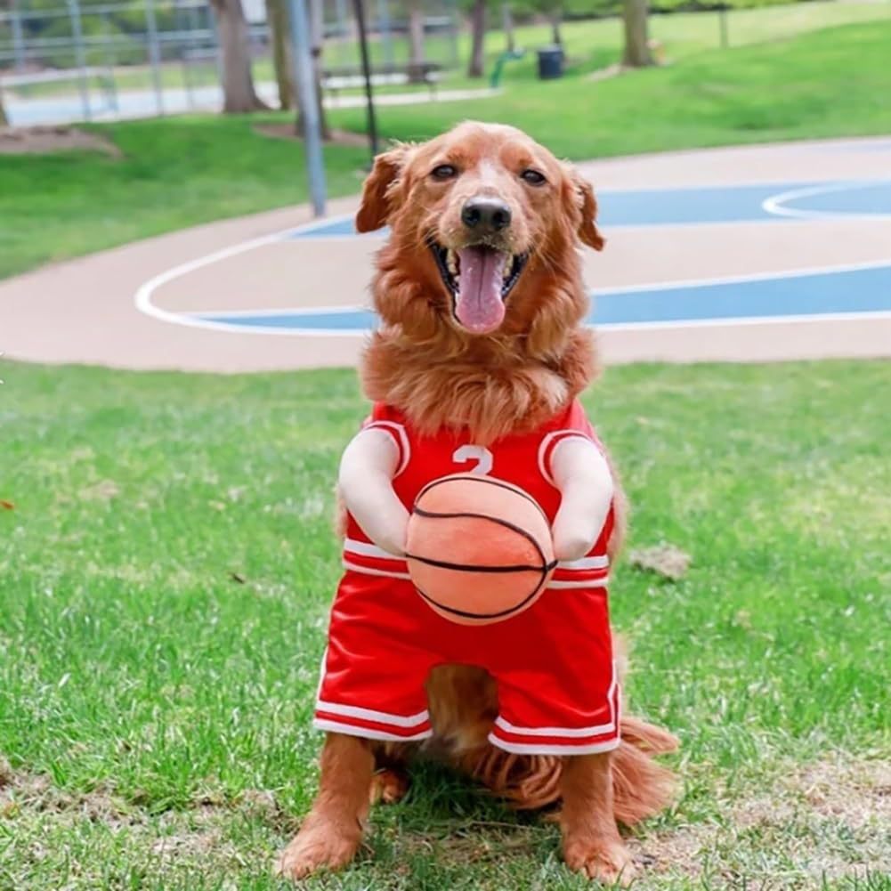 Basketball Player Pet Costume