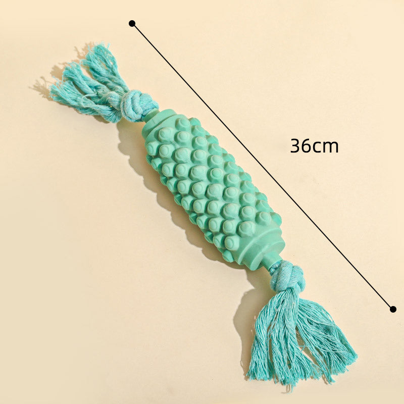 Textured Latex Dog Toy with Rope