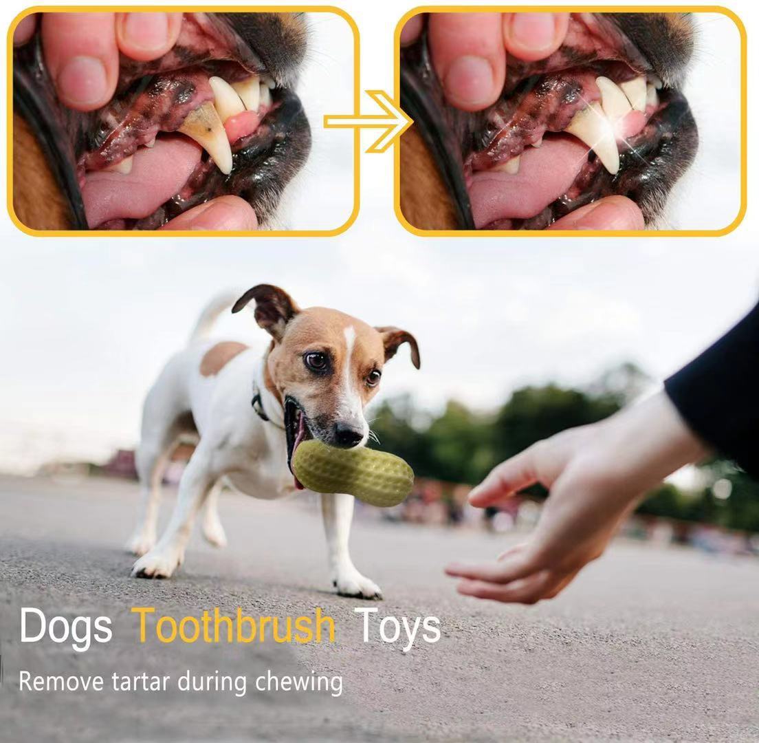 Peanut-Shaped Squeaky Pet Toy