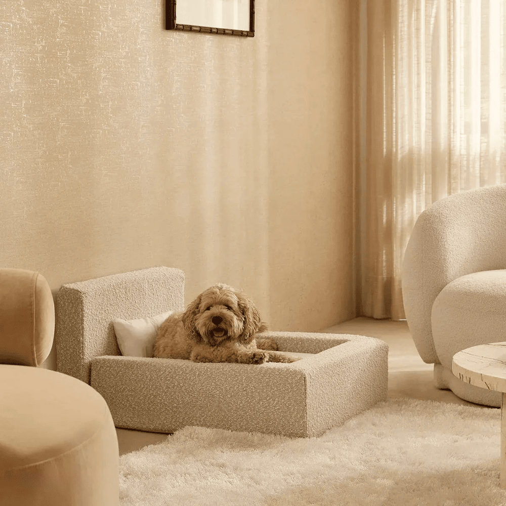 Rectangular Pet Sofa Bed with Backrest