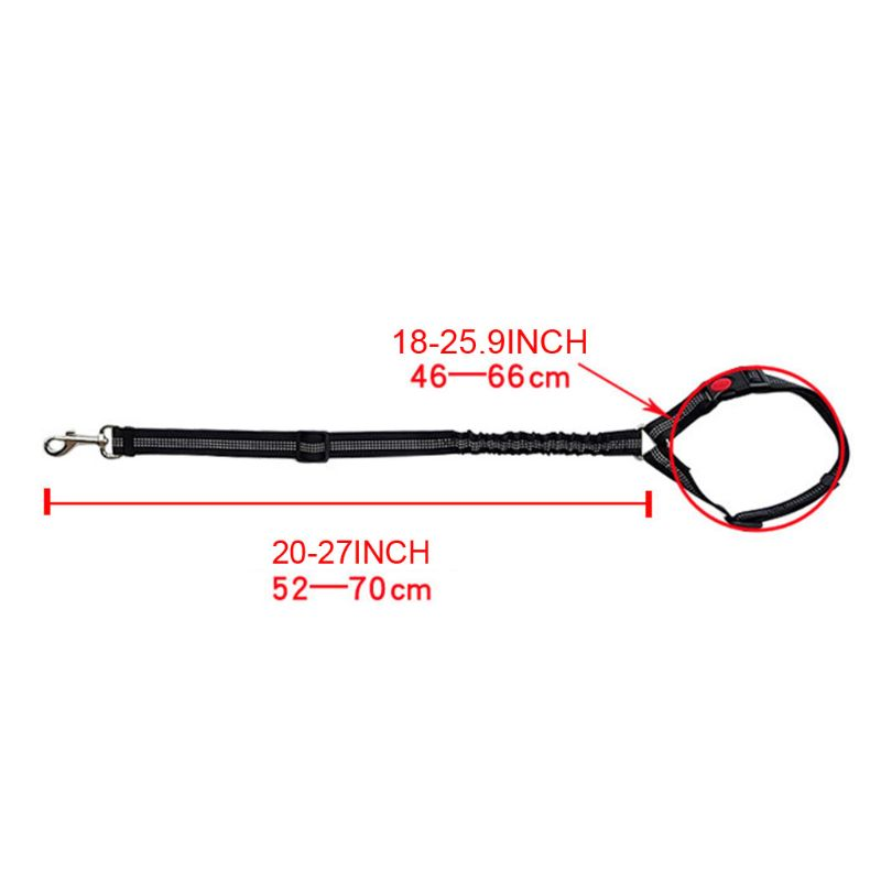 Elastic Pet Leash