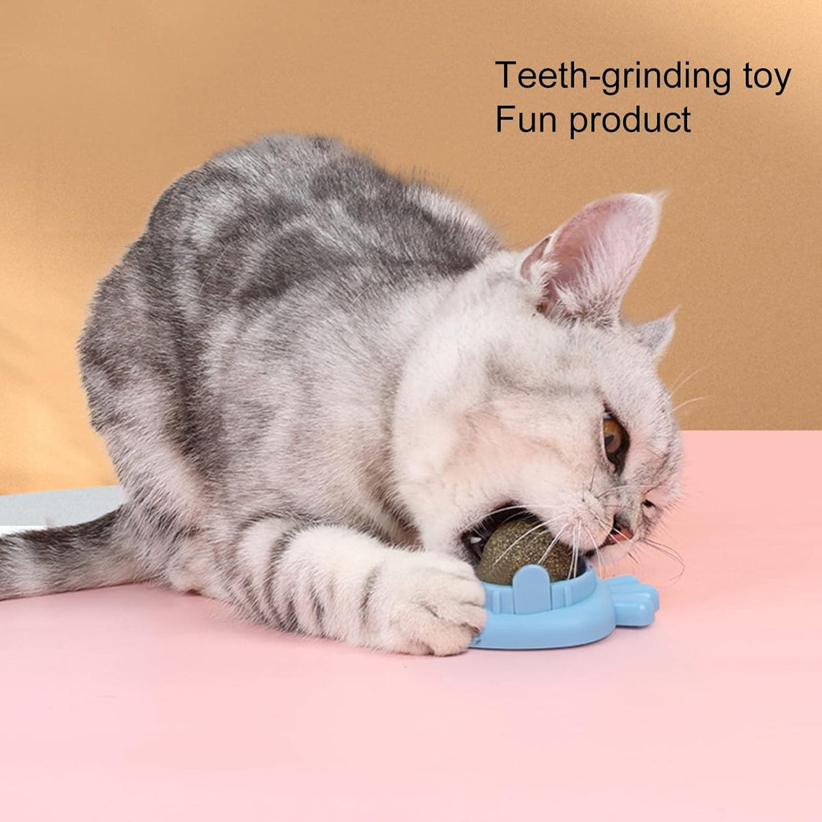 Carrot-Shaped Wall-Mounted Catnip Toy