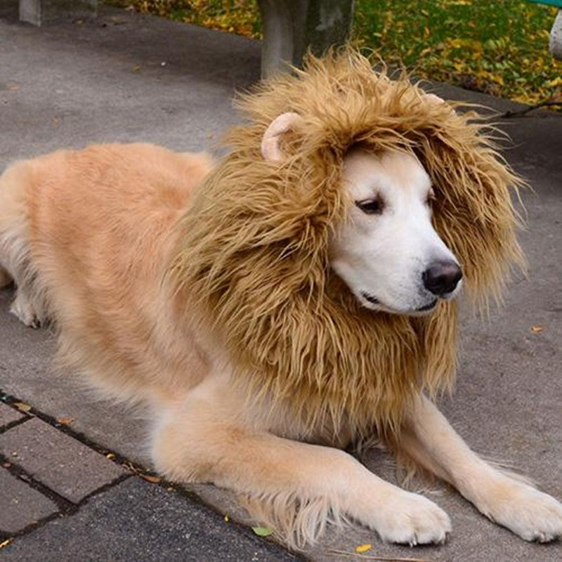 Lion Mane Pet Costume